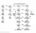 Fig. 01 - Elongase gene and uses thereof