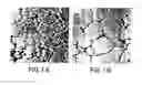 Fig. 02 - Methods and compositions for the treatment and prevention of lung disease