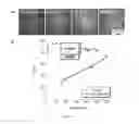 Fig. 06 - Surface buckling method and articles formed thereby