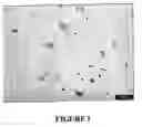 Fig. 02 - Thermoplastic Polymer Based Nanocomposites