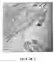 Fig. 04 - Thermoplastic Polymer Based Nanocomposites