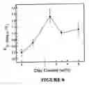 Fig. 07 - Thermoplastic Polymer Based Nanocomposites