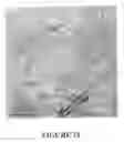 Fig. 19 - Thermoplastic Polymer Based Nanocomposites
