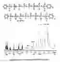 Fig. 01 - COUPLING OF LIVING CARBOCATIONIC POLYMERS