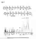 Fig. 04 - COUPLING OF LIVING CARBOCATIONIC POLYMERS