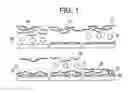 Fig. 02 - Nanofabricated polypeptide multilayer films, coatings, and microcapsules