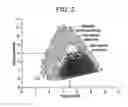 Fig. 03 - Nanofabricated polypeptide multilayer films, coatings, and microcapsules