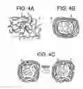 Fig. 05 - Nanofabricated polypeptide multilayer films, coatings, and microcapsules