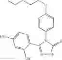 Fig. 216 - Synthesis of triazole compounds that modulate HSP90 activity