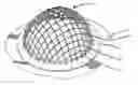 Fig. 01 - Device for sizing a human female breast