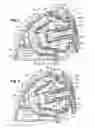Fig. 02 - HEAD FOR MASSAGING AND/OR DISPENSING A PRODUCT AND DEVICE PROVIDED WITH SUCH A HEAD