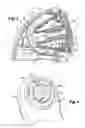 Fig. 03 - HEAD FOR MASSAGING AND/OR DISPENSING A PRODUCT AND DEVICE PROVIDED WITH SUCH A HEAD