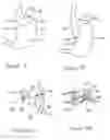 Fig. 02 - Methods and Devices for Organ Partitioning
