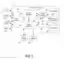 Fig. 06 - Responsive Therapy for Psychiatric Disorders