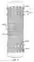 Fig. 06 - Methods and apparatus for endovascularly replacing a patient's heart valve