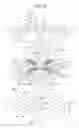 Fig. 09 - Tire ground contact pattern specifying method and apparatus thereof