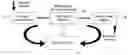 Fig. 01 - Determining method for exposure of a service