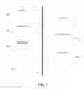 Fig. 02 - Processing data across a distributed network