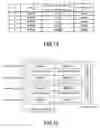 Fig. 08 - Volume migration program, method and system