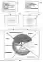Fig. 03 - Graphical access to data objects