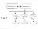 Fig. 09 - Viral installation of operating systems in a network