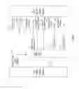 Fig. 02 - Conducting client-server inter-process communication