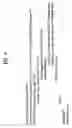 Fig. 06 - Broadcast transmitting apparatus, method of transmitting broadcast data, broadcast receiver, and method of receiving broadcast data