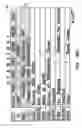 Fig. 09 - Method and system for displaying advertisements in an electronic program guide