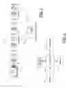 Fig. 02 - APPARATUS AND METHOD FOR EMBEDDING/DETECTING AN AUXILIARY SIGNAL WITHIN A CATV TRAFFIC STREAM