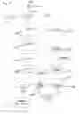 Fig. 07 - Detection of image spam