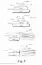 Fig. 07 - Systematic approach to uncover GUI logic flaws