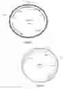 Fig. 06 - GENES ENCODING 4-HYDROXYPHENYLPYRUVATE DIOXYGENASE (HPPD) ENZYMES FOR PLANT METABOLIC ENGINEERING