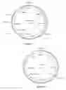 Fig. 08 - GENES ENCODING 4-HYDROXYPHENYLPYRUVATE DIOXYGENASE (HPPD) ENZYMES FOR PLANT METABOLIC ENGINEERING