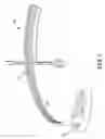 Fig. 02 - PANT LEG STABILIZER