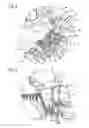 Fig. 04 - Manually guided blower