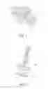 Fig. 02 - Buckle devise