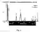 Fig. 03 - Selection and rational development of solvent systems in counter-current chromatograph