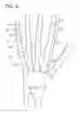Fig. 06 - Robot joint structure and robot finger