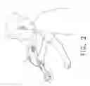 Fig. 03 - Hand tool with earphone