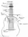 Fig. 01 - Guitarp