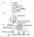 Fig. 02 - Engine