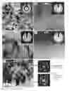 Fig. 01 - Annealing-induced extensive solid-state amorphization in metallic films