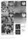 Fig. 06 - Annealing-induced extensive solid-state amorphization in metallic films