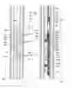 Fig. 01 - Wellbore plug adapter kit and method of using thereof