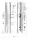 Fig. 04 - Wellbore plug adapter kit and method of using thereof