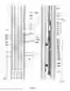 Fig. 05 - Wellbore plug adapter kit and method of using thereof
