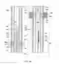Fig. 06 - Wellbore plug adapter kit and method of using thereof