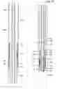 Fig. 49 - Method and apparatus for wellbore construction and completion