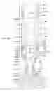 Fig. 71 - Method and apparatus for wellbore construction and completion