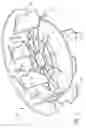 Fig. 02 - Universal lid for underground access boxes